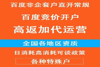 百度竞价推广托管：成功案例背后的故事
